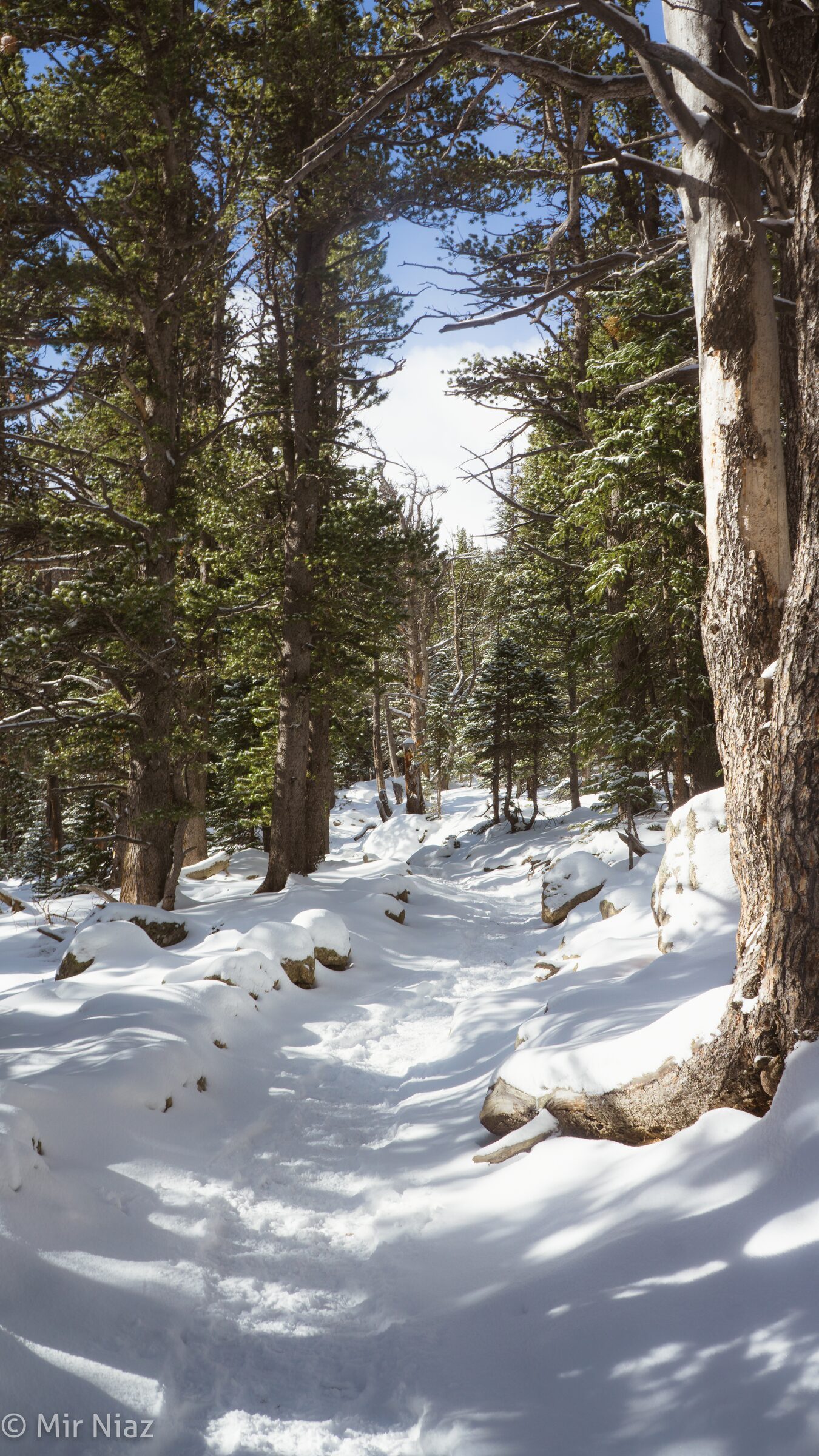 Colorado