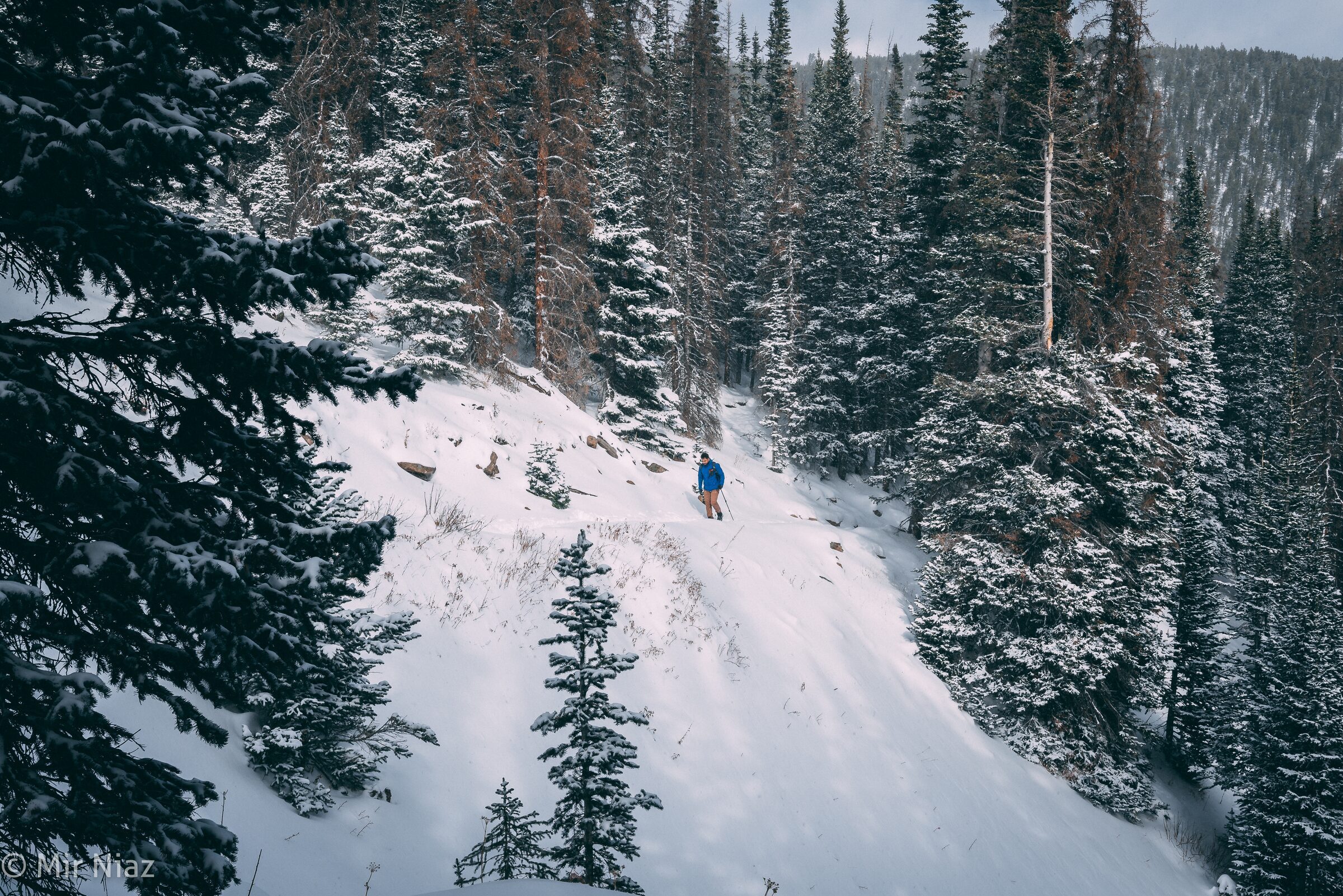 Colorado